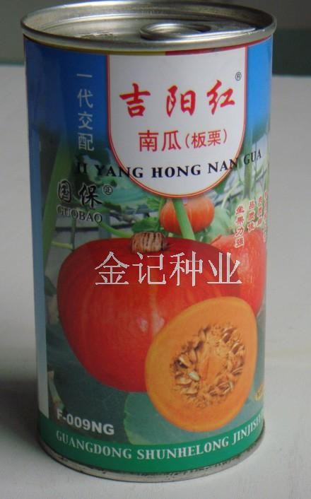 供应蜜本南瓜种子